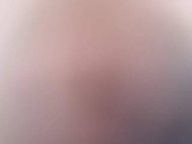 Dolly image 3